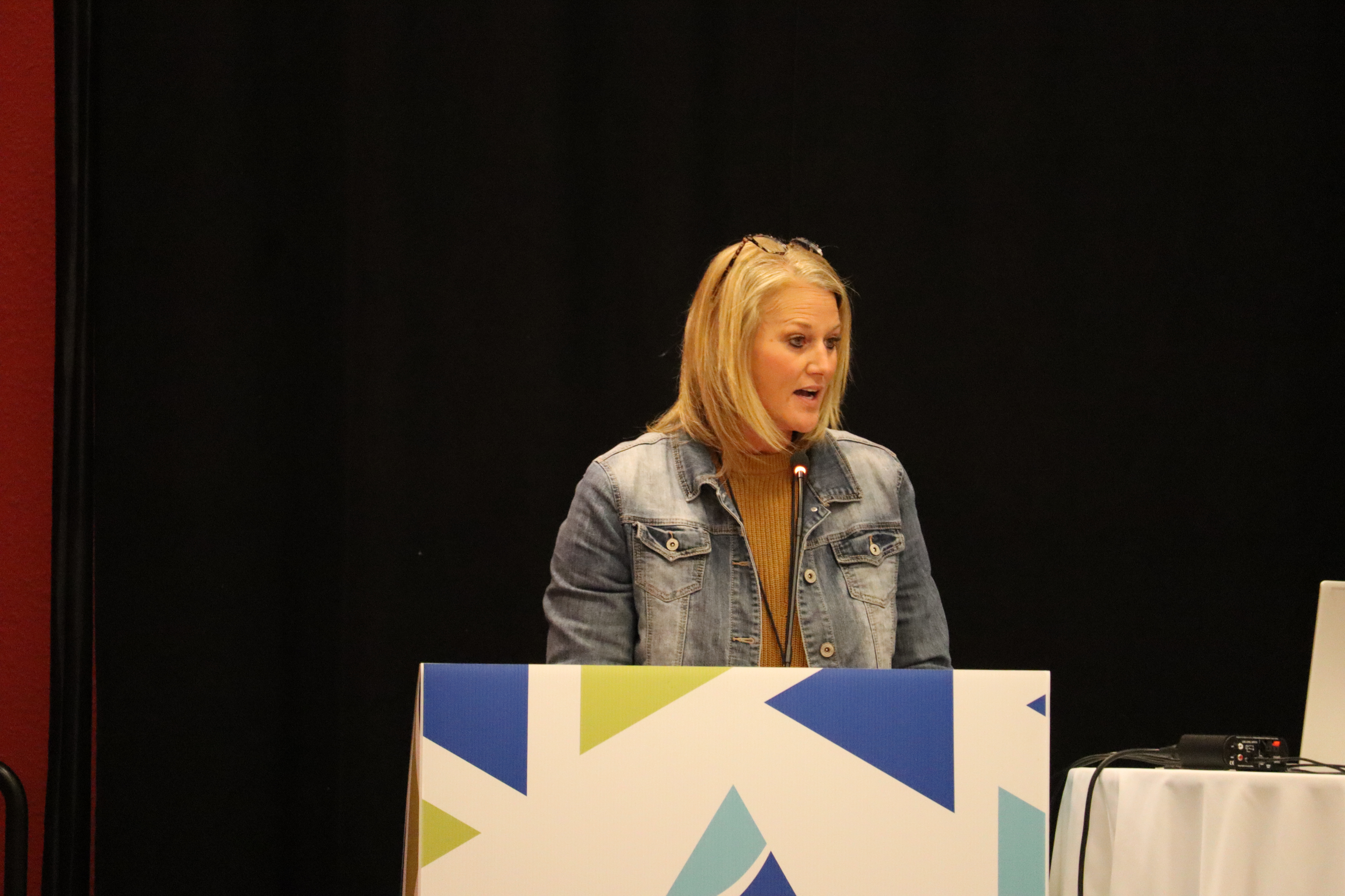 Kim Nesbitt, Vice President of Bank Operations at First National Bank of River Falls and Chair of the WBA Financial Crimes Committee, speaks at the Wisconsin Bankers Association Security Conference.